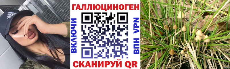 Галлюциногенные грибы мухоморы  Слюдянка 